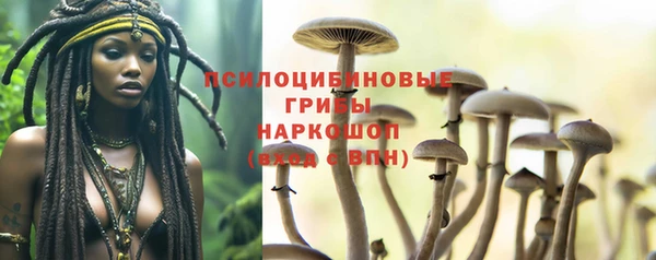 гидропоника Балабаново