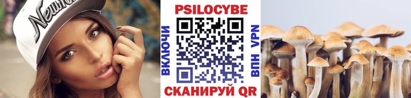 Галлюциногенные грибы Psilocybine cubensis  цена наркотик  Спас-Деменск 